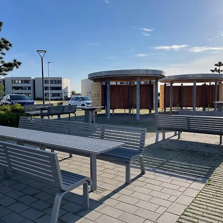 Burgtiefe Suedstrand 2 Seestern Mit Sued-bk Wama *